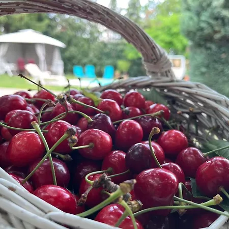 Konukevi Rozi Garden Vendeghaz Badacsony Badacsonytomaj