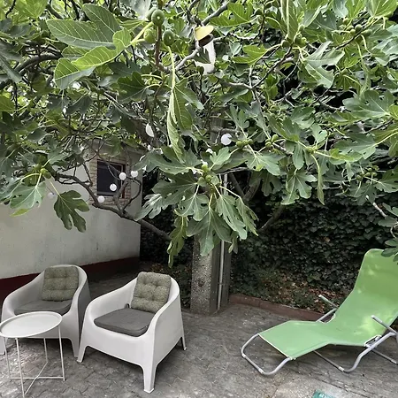 招待所 Rozi Garden Vendeghaz Badacsony 包道乔尼托毛伊