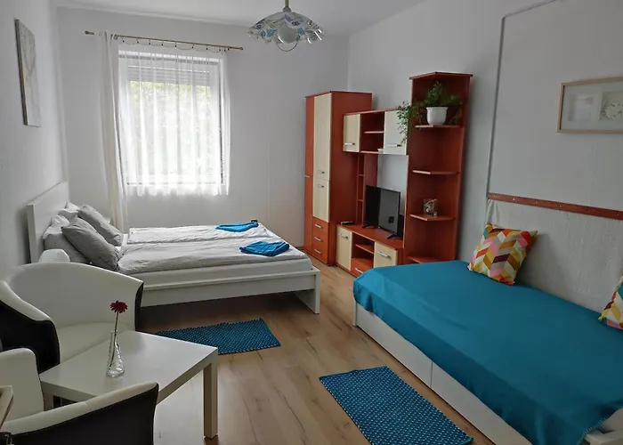 招待所 Rozi Garden Vendeghaz Badacsony 包道乔尼托毛伊