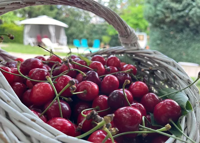 招待所 Rozi Garden Vendeghaz Badacsony 包道乔尼托毛伊