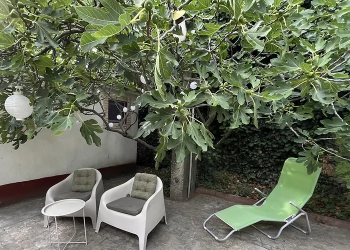 招待所 Rozi Garden Vendeghaz Badacsony 包道乔尼托毛伊